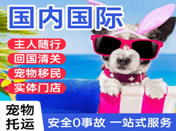 济宁大安机场快运国际宠物托运 【国